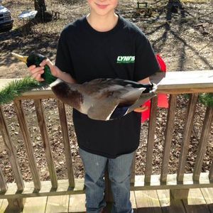 Meet your Posher, Roy